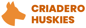Criadero Husky